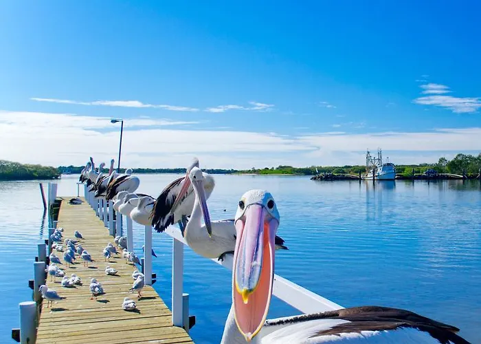 Moby Dick Waterfront Resort Motel
