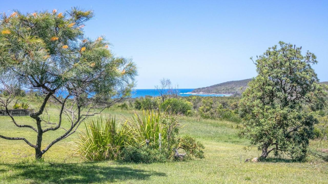 Jinalong Yamba