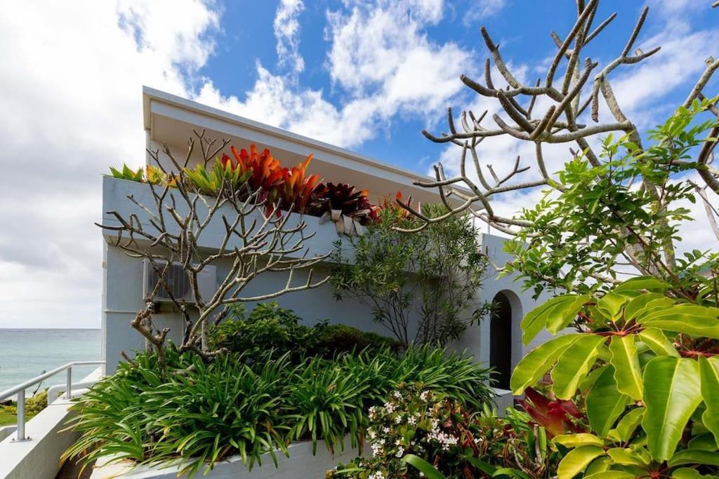 Luxe Oceanfront Penthouse! Yamba's Suncrest 5 Yamba