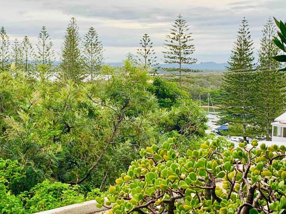 Apartment Tequila Sunset Yamba