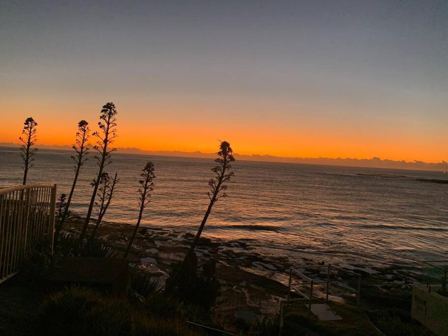 Tequila Sunset