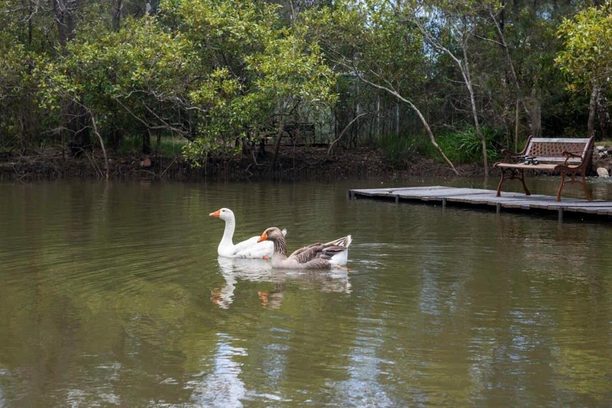 Riverside Ranch - Oceanstays Holiday home Yamba