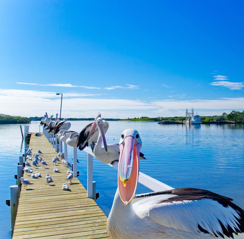 Motel Moby Dick Waterfront Yamba
