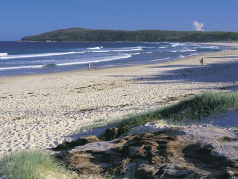 Motor Yamba