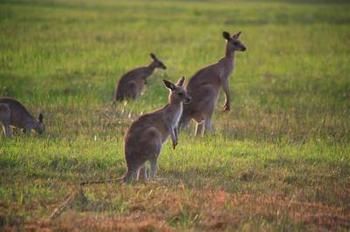 Yamba By Gateway Lifestyle Holiday Parks Holiday park Yamba