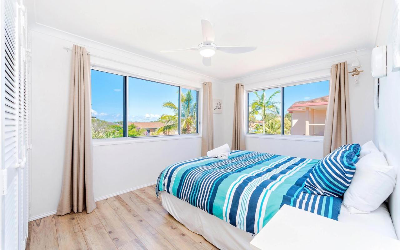 Pandanus - Ljhooker